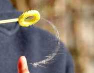 прыщи на пенисе